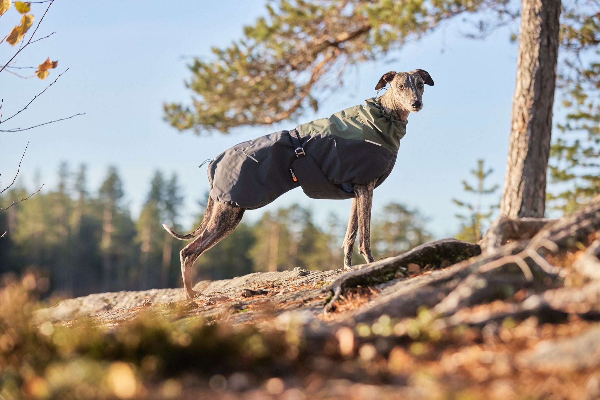 Glacier wool jacket groen-grijs
